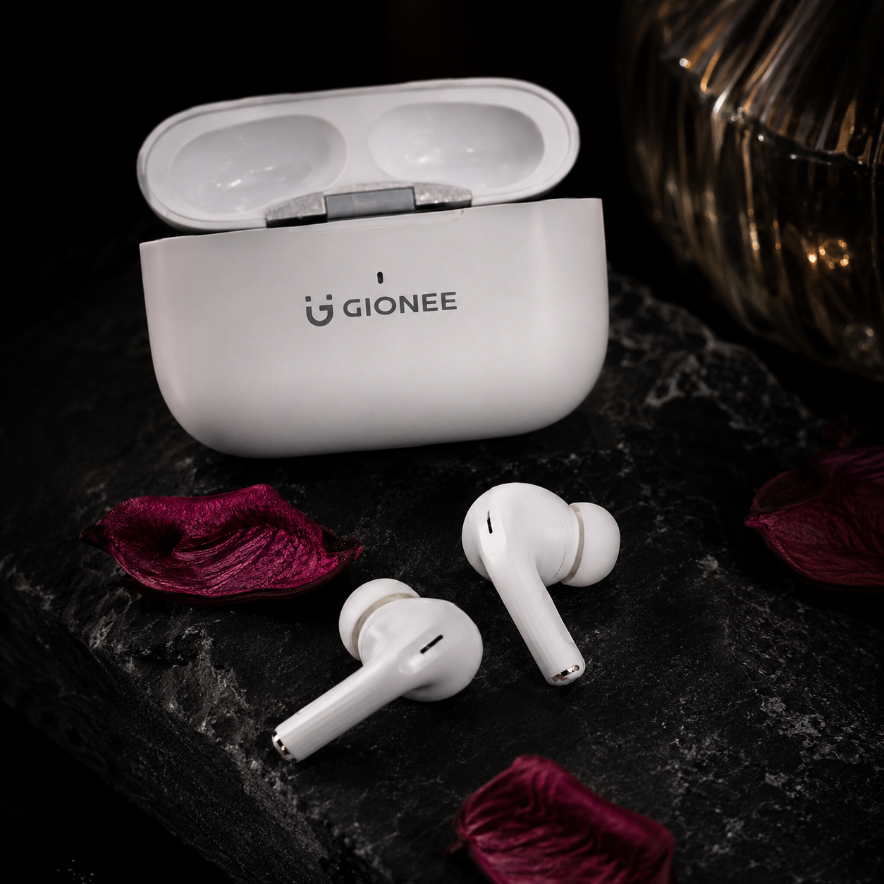 Gionee JL005 True Wireless Earbuds | Bluetooth 5.4 | 24H Battery | Type-C
